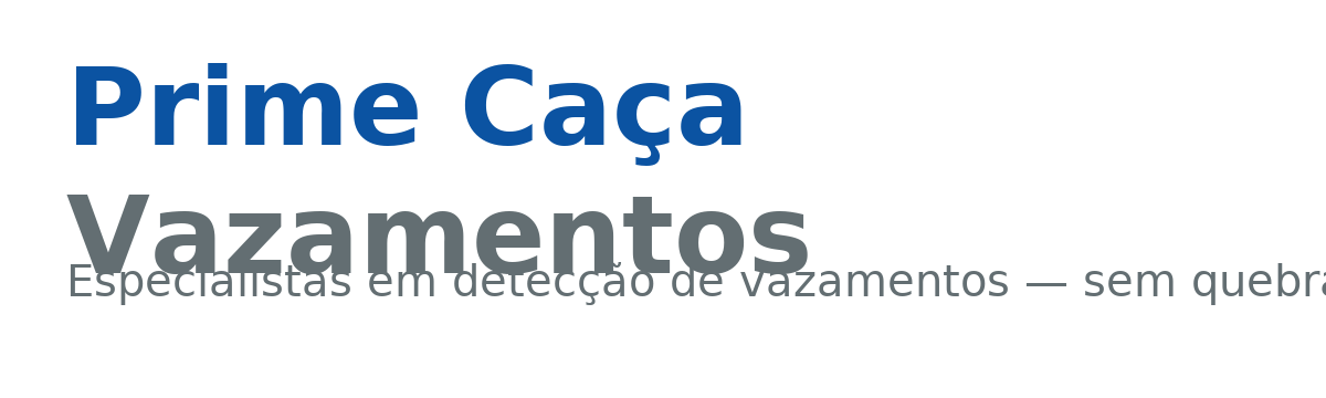 Prime Caça Vazamentos